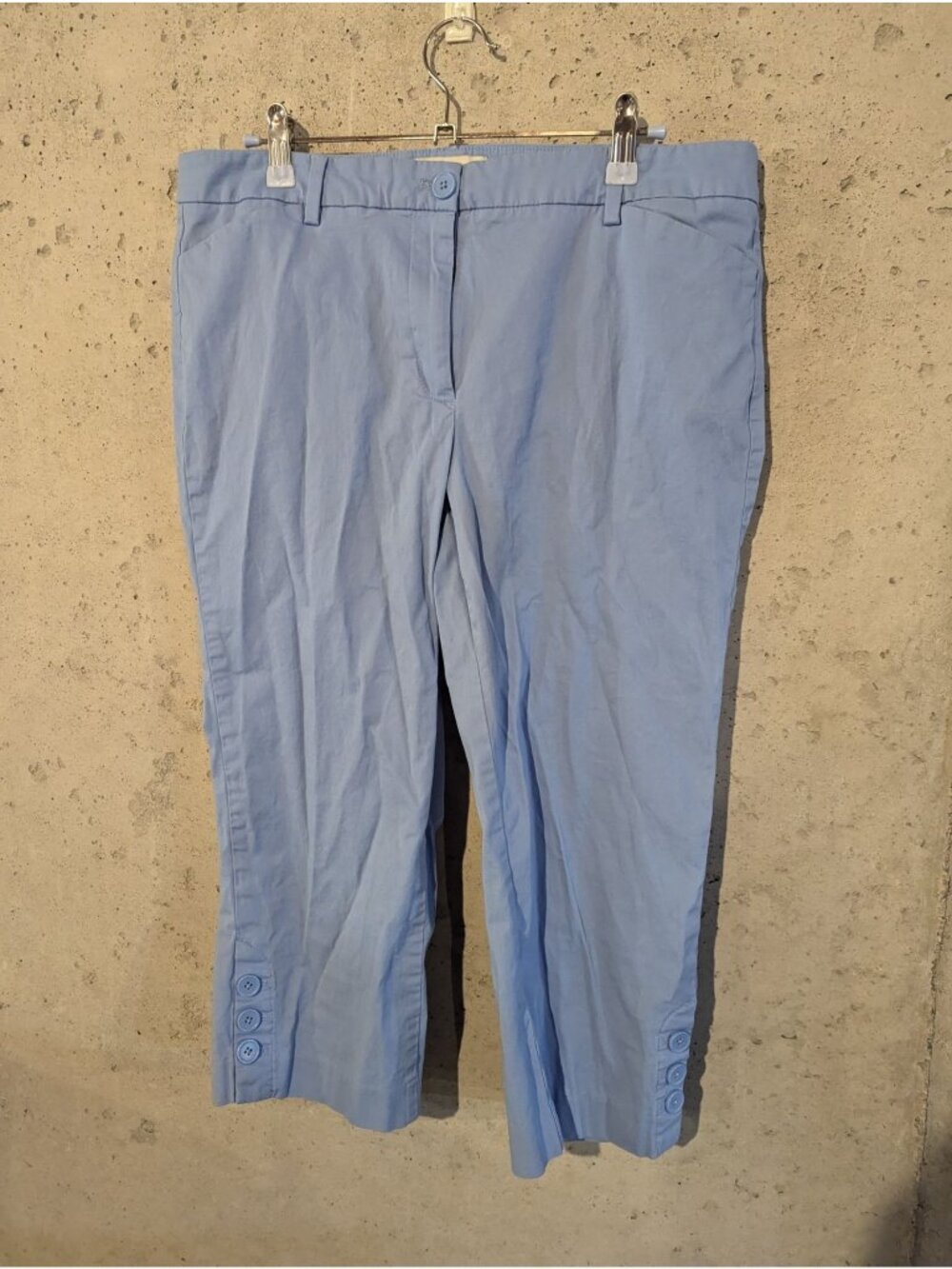 Talbots Petite Womens Light Blue Cropped Pants Size 12P